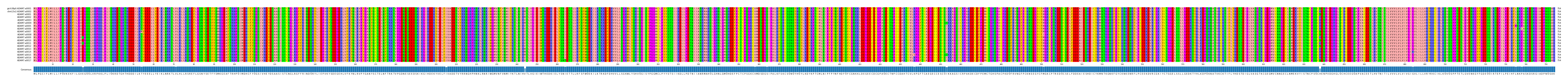 Multiple Alignments (by translate haplotype frequency)