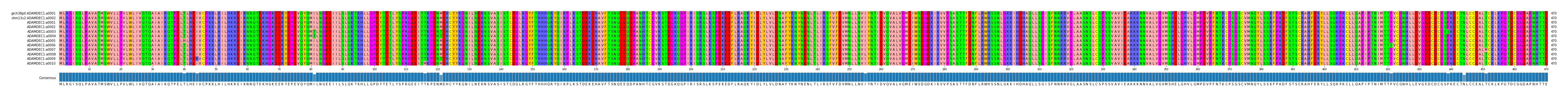Multiple Alignments (by translate haplotype frequency)