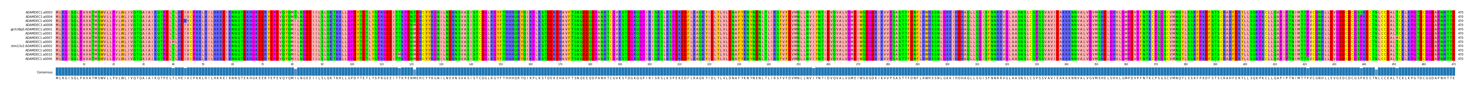 Multiple Alignments (by translate haplotype similarity)