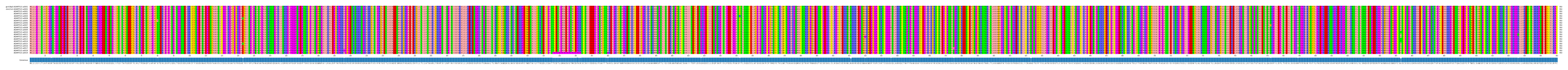 Multiple Alignments (by translate haplotype frequency)