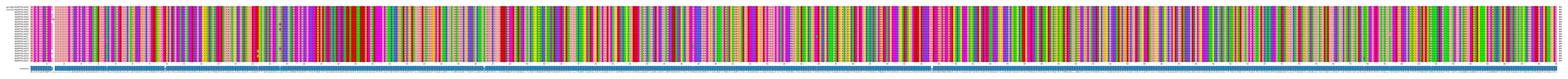 Multiple Alignments (by translate haplotype frequency)
