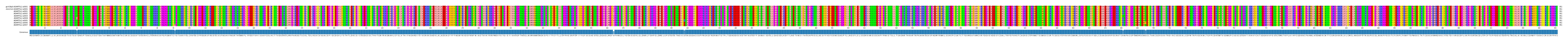 Multiple Alignments (by translate haplotype frequency)
