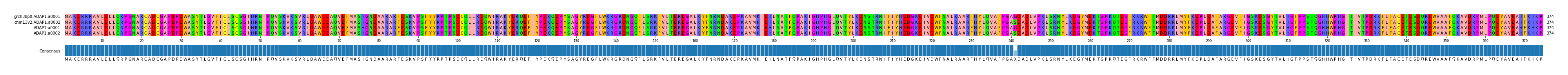 Multiple Alignments (by translate haplotype frequency)