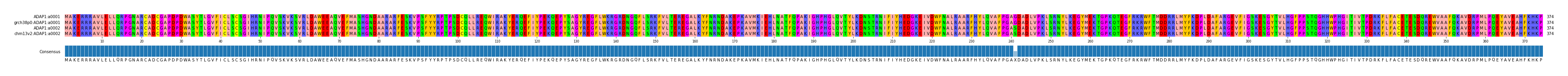 Multiple Alignments (by translate haplotype similarity)