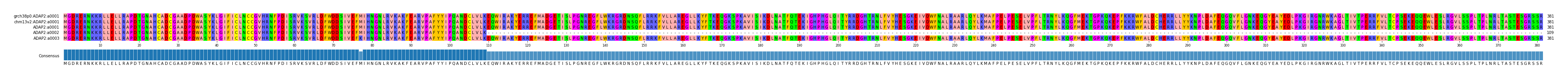 Multiple Alignments (by translate haplotype frequency)