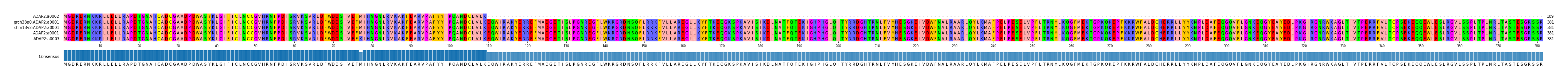 Multiple Alignments (by translate haplotype similarity)