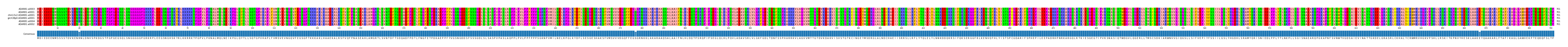 Multiple Alignments (by translate haplotype similarity)