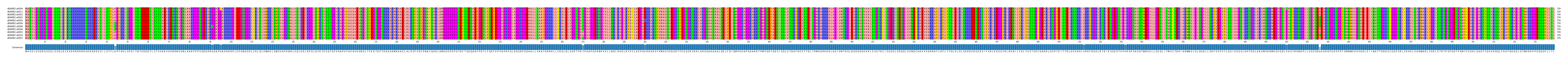 Multiple Alignments (by translate haplotype similarity)