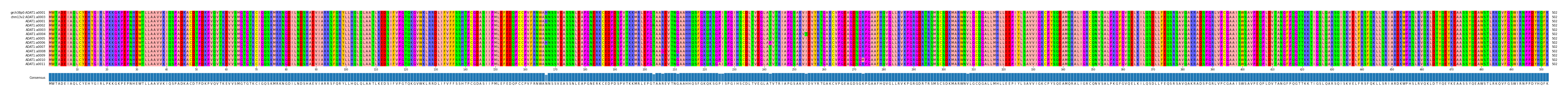 Multiple Alignments (by translate haplotype frequency)