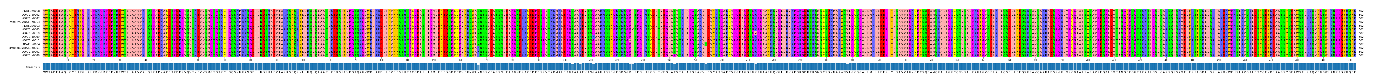 Multiple Alignments (by translate haplotype similarity)