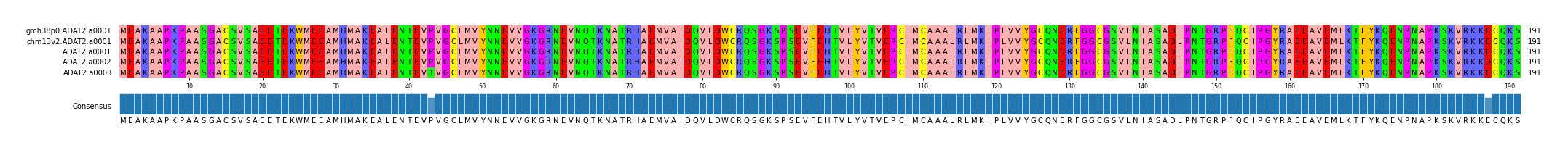 Multiple Alignments (by translate haplotype frequency)