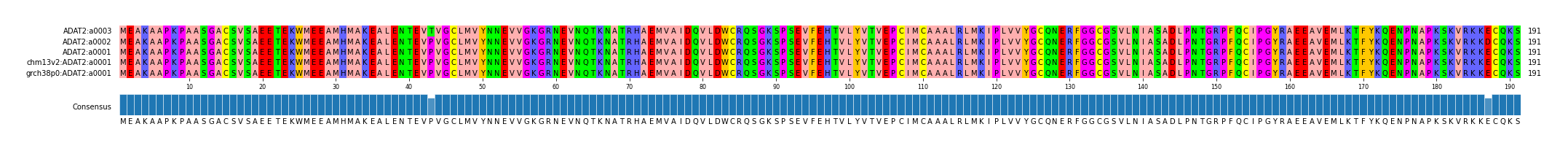 Multiple Alignments (by translate haplotype similarity)