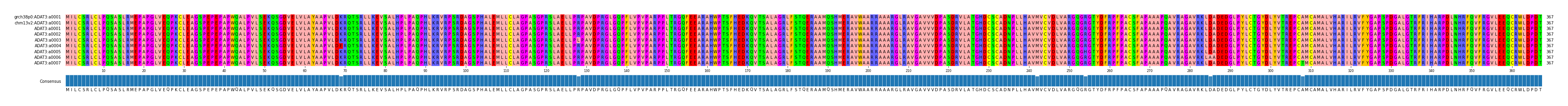 Multiple Alignments (by translate haplotype frequency)