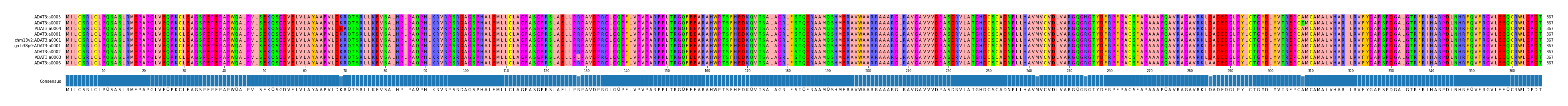 Multiple Alignments (by translate haplotype similarity)