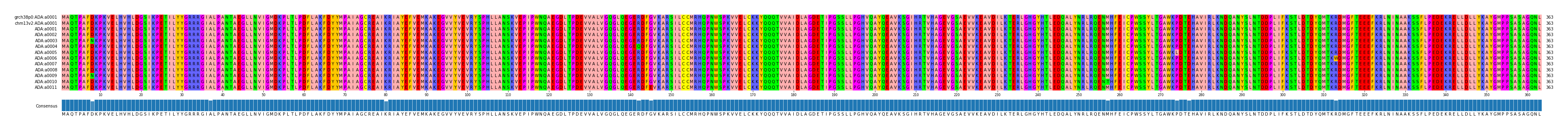 Multiple Alignments (by translate haplotype frequency)
