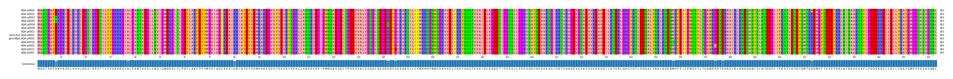 Multiple Alignments (by translate haplotype similarity)