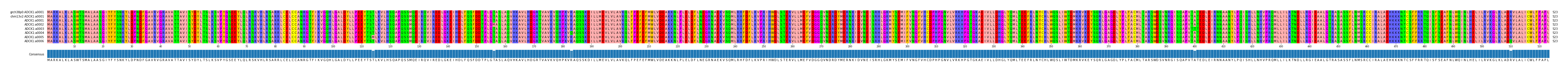 Multiple Alignments (by translate haplotype frequency)