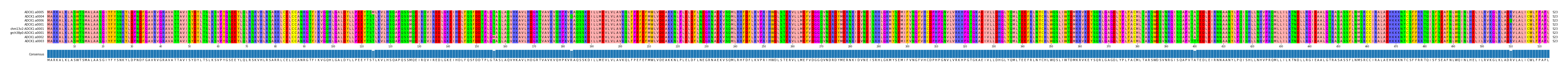 Multiple Alignments (by translate haplotype similarity)