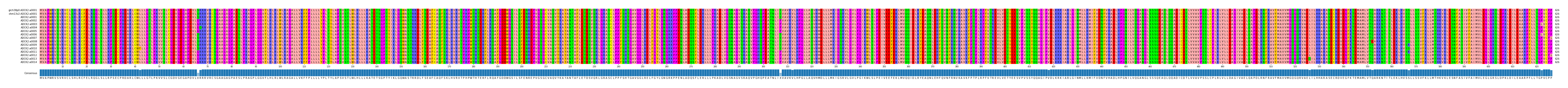 Multiple Alignments (by translate haplotype frequency)