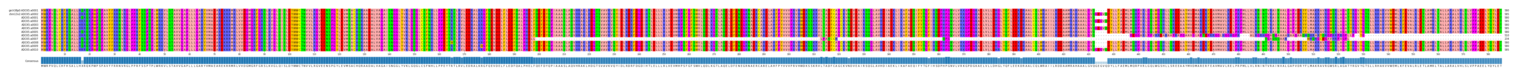 Multiple Alignments (by translate haplotype frequency)