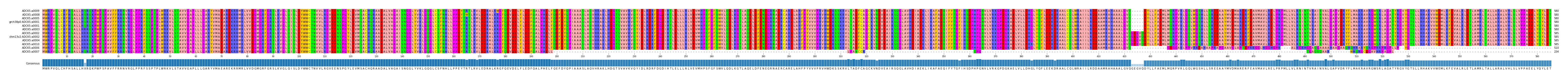 Multiple Alignments (by translate haplotype similarity)