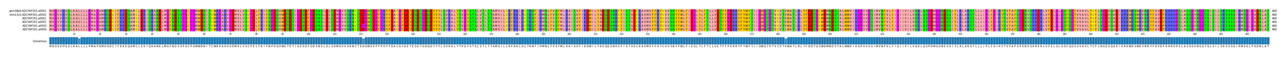 Multiple Alignments (by translate haplotype frequency)