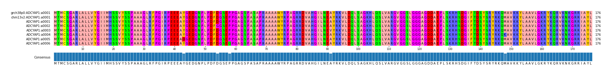 Multiple Alignments (by translate haplotype frequency)