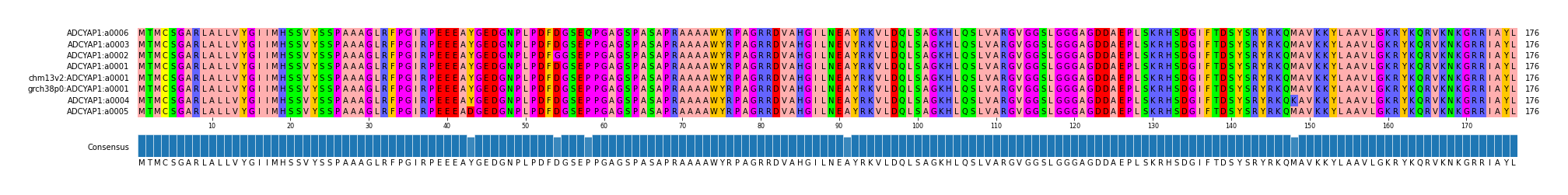 Multiple Alignments (by translate haplotype similarity)