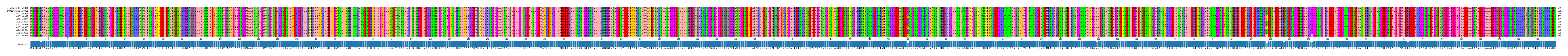 Multiple Alignments (by translate haplotype frequency)