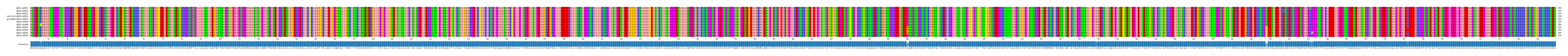 Multiple Alignments (by translate haplotype similarity)