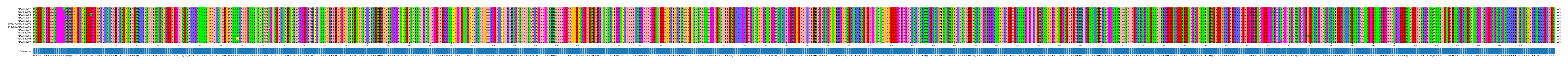 Multiple Alignments (by translate haplotype similarity)