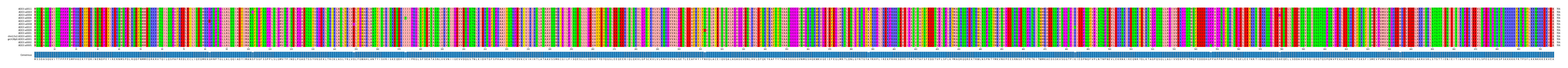 Multiple Alignments (by translate haplotype similarity)