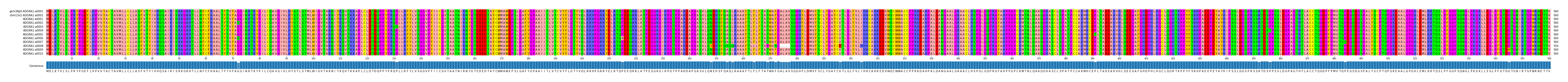 Multiple Alignments (by translate haplotype frequency)