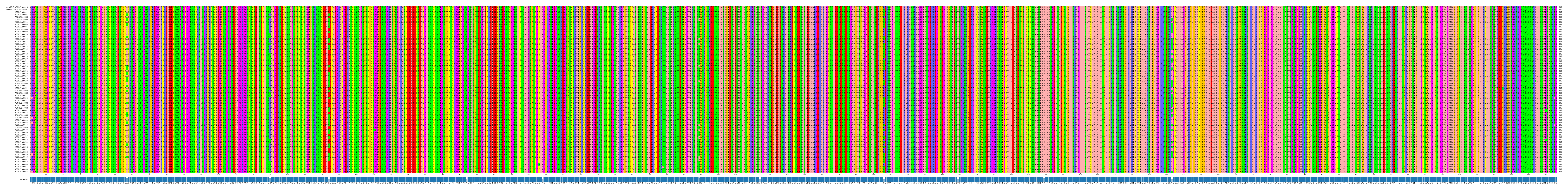 Multiple Alignments (by translate haplotype frequency)