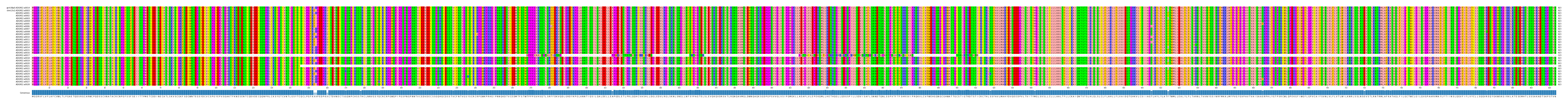 Multiple Alignments (by translate haplotype frequency)