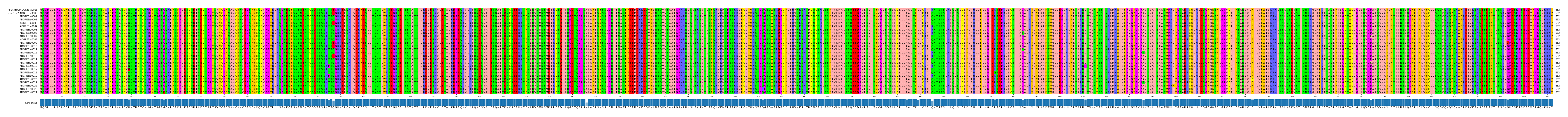 Multiple Alignments (by translate haplotype frequency)