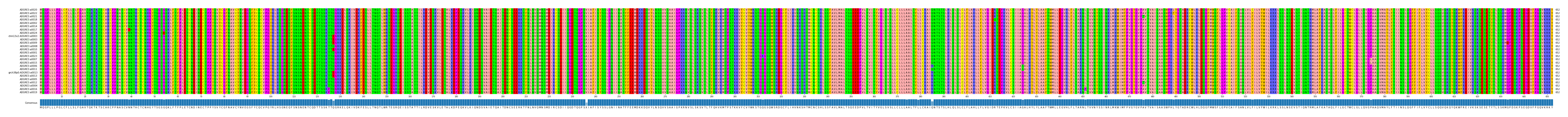 Multiple Alignments (by translate haplotype similarity)