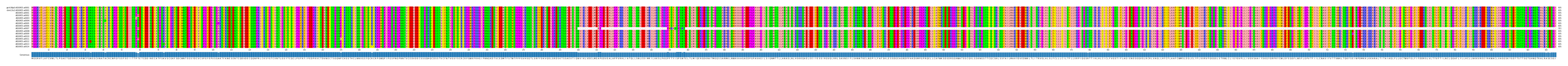 Multiple Alignments (by translate haplotype frequency)