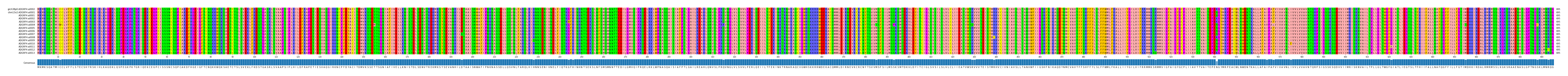 Multiple Alignments (by translate haplotype frequency)