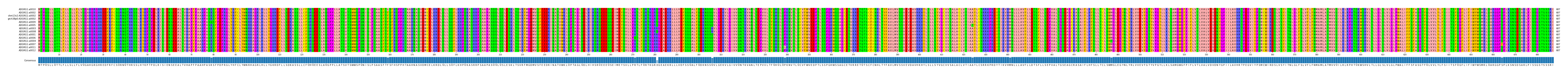 Multiple Alignments (by translate haplotype similarity)