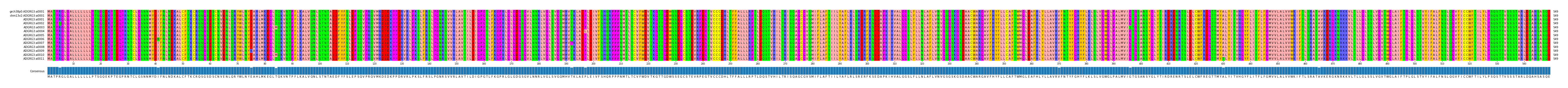Multiple Alignments (by translate haplotype frequency)