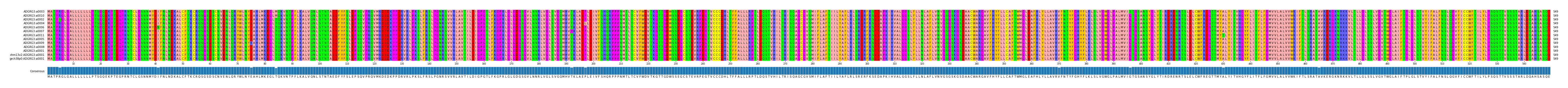 Multiple Alignments (by translate haplotype similarity)