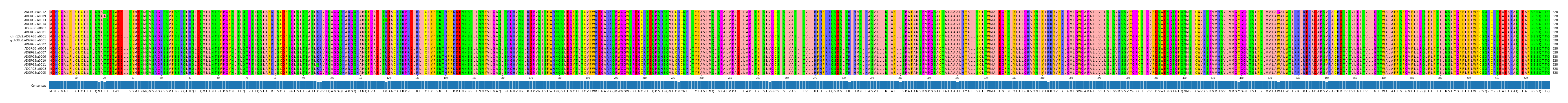 Multiple Alignments (by translate haplotype similarity)