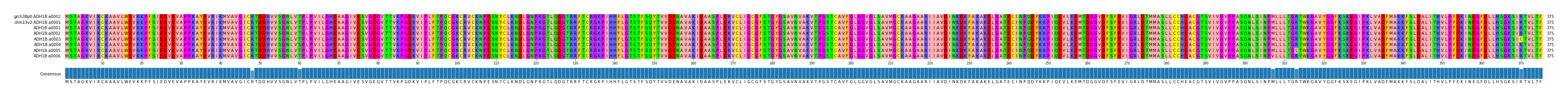 Multiple Alignments (by translate haplotype frequency)