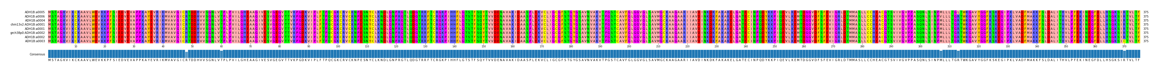 Multiple Alignments (by translate haplotype similarity)
