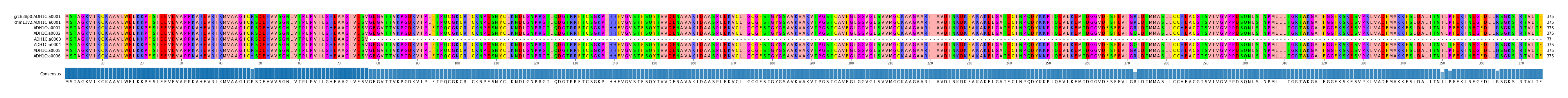 Multiple Alignments (by translate haplotype frequency)