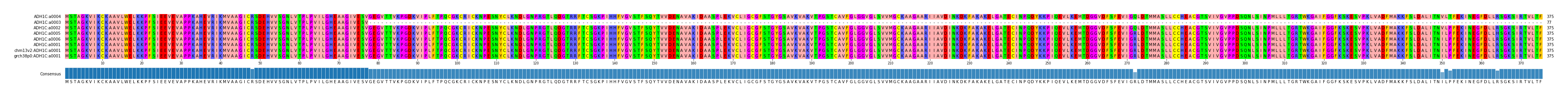 Multiple Alignments (by translate haplotype similarity)