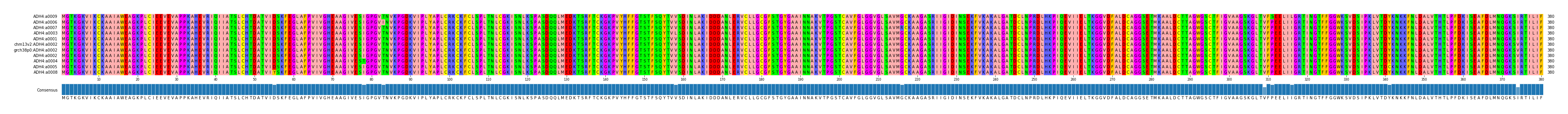 Multiple Alignments (by translate haplotype similarity)