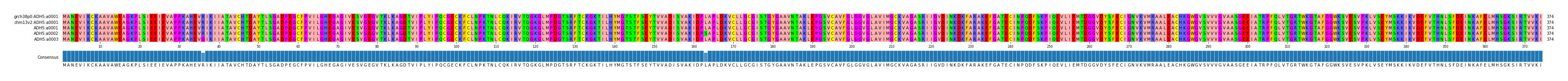 Multiple Alignments (by translate haplotype frequency)