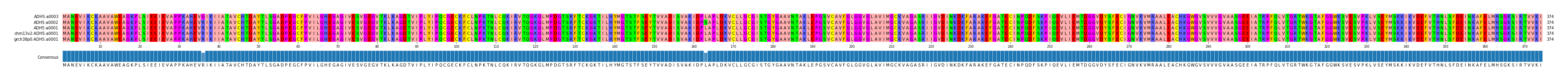 Multiple Alignments (by translate haplotype similarity)